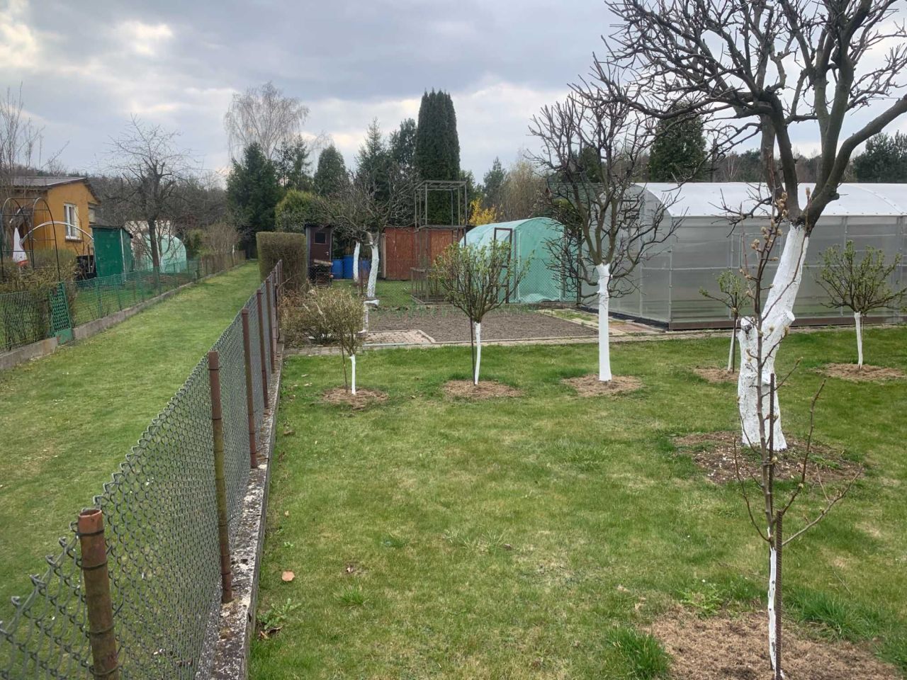 Działka rod Poręba, ul. Modrzewiowa. Zdjęcie 8