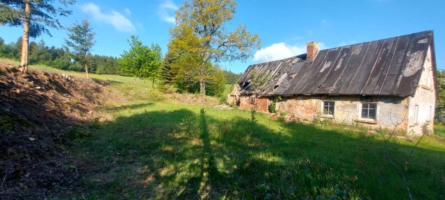 Działka rolno-budowlana Dworki. Zdjęcie 10