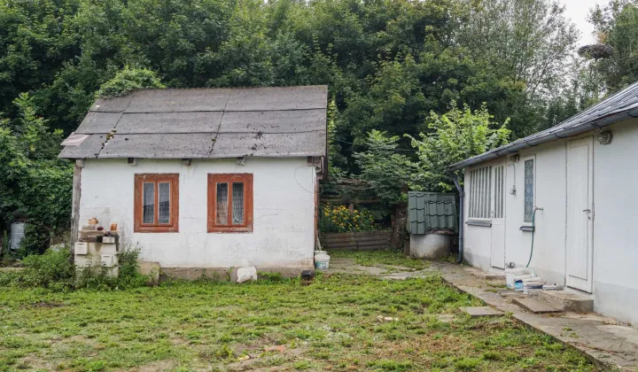 gospodarstwo, 4 pokoje Holendry