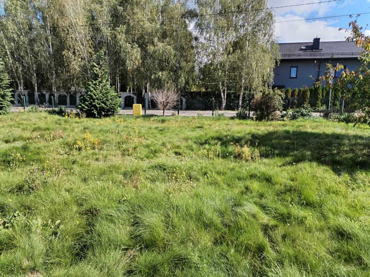 Działka budowlana Tłuchowo, ul. Leśna. Zdjęcie 5