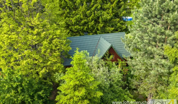 dom wolnostojący, 7 pokoi Sowliny