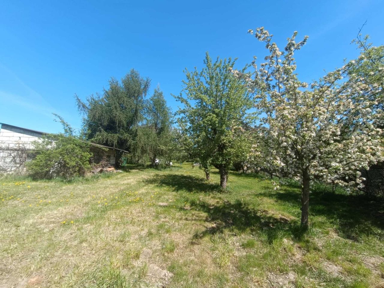 Działka budowlana Kalinowice. Zdjęcie 6