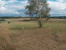 Działka rolna Karwieńskie Błoto Pierwsze Sławoszynko. Zdjęcie 3