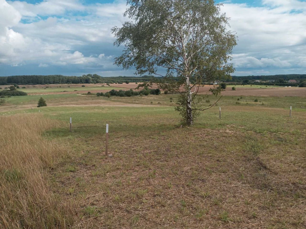 Działka rolna Karwieńskie Błoto Pierwsze Sławoszynko. Zdjęcie 4