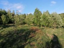 Działka inwestycyjna Huta Szklana. Zdjęcie 2