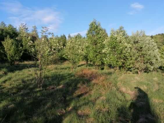 Działka inwestycyjna Huta Szklana. Zdjęcie 3