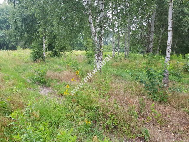 Działka budowlana Terenia. Zdjęcie 2