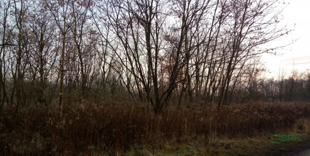 Działka inna Sosnowiec Porąbka, ul. Grenadierów. Zdjęcie 4