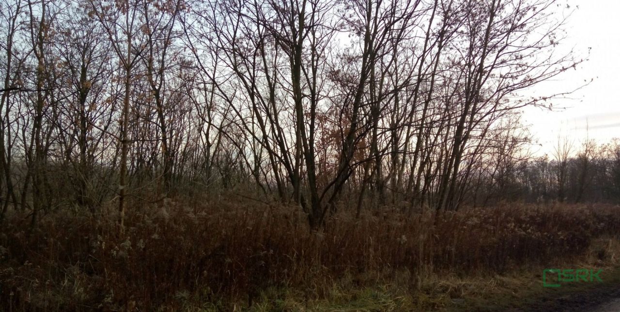 Działka inna Sosnowiec Porąbka, ul. Grenadierów. Zdjęcie 4