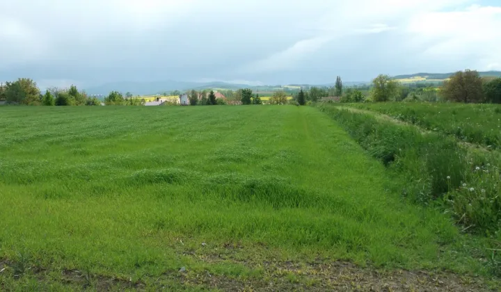 Działka budowlana Ząbkowice Śląskie, ul. Kamieniecka