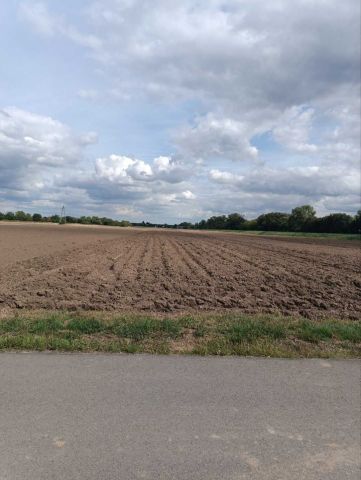 Działka rolno-budowlana Gołąb. Zdjęcie 1