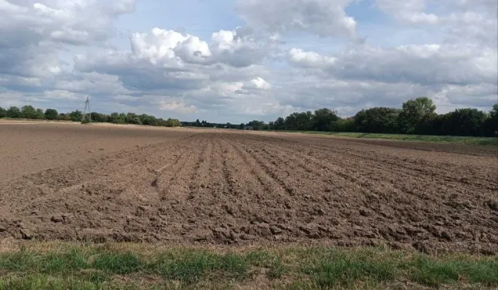 Działka rolno-budowlana Gołąb