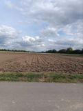 Działka rolno-budowlana Gołąb, ul. Polna. Zdjęcie 2