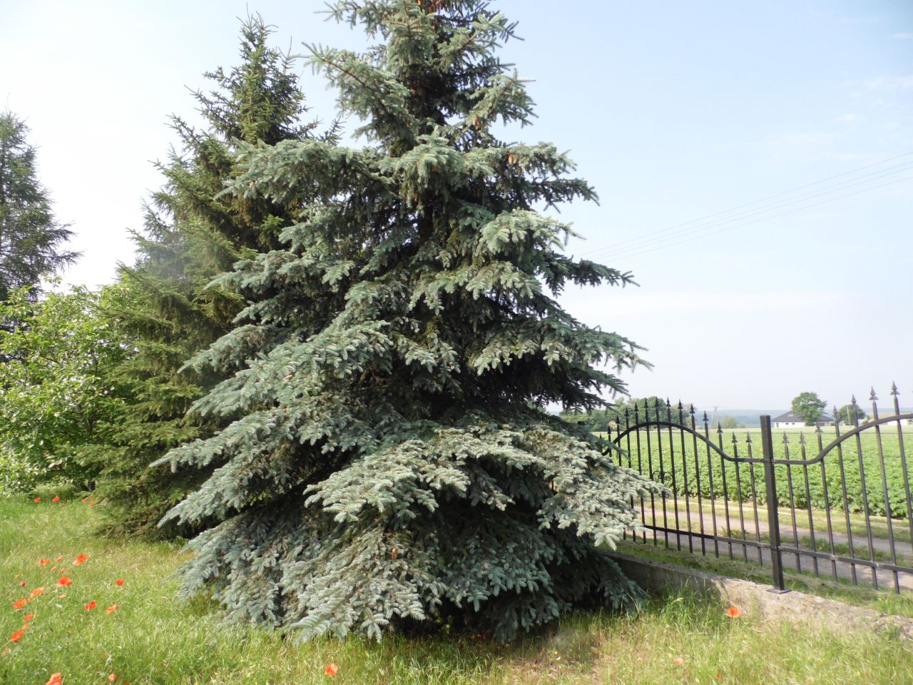 dom wolnostojący, 5 pokoi Brwilno, ul. Południowa. Zdjęcie 19