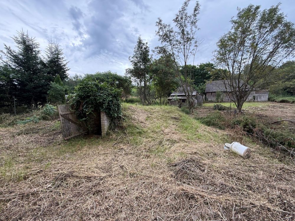 Działka siedliskowa Wysokie Pierwsze. Zdjęcie 4