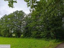 Działka budowlana Chrośna. Zdjęcie 2