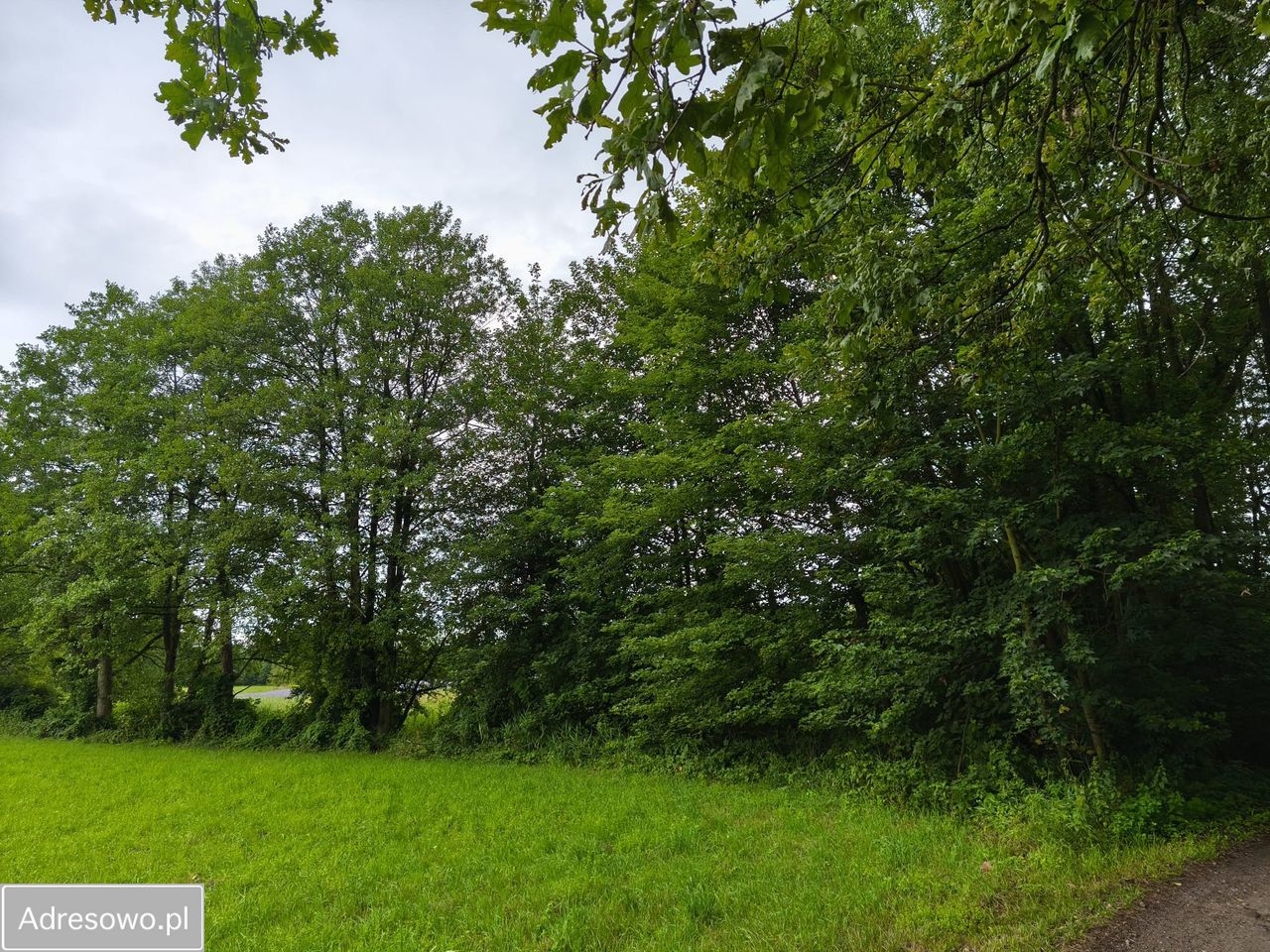 Działka budowlana Chrośna. Zdjęcie 3
