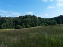 Działka budowlana Czarnkowie. Zdjęcie 2