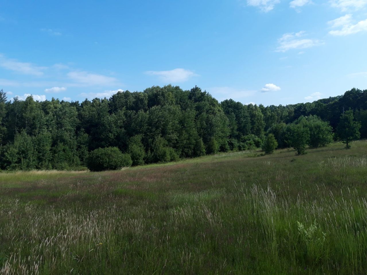 Działka budowlana Czarnkowie. Zdjęcie 3