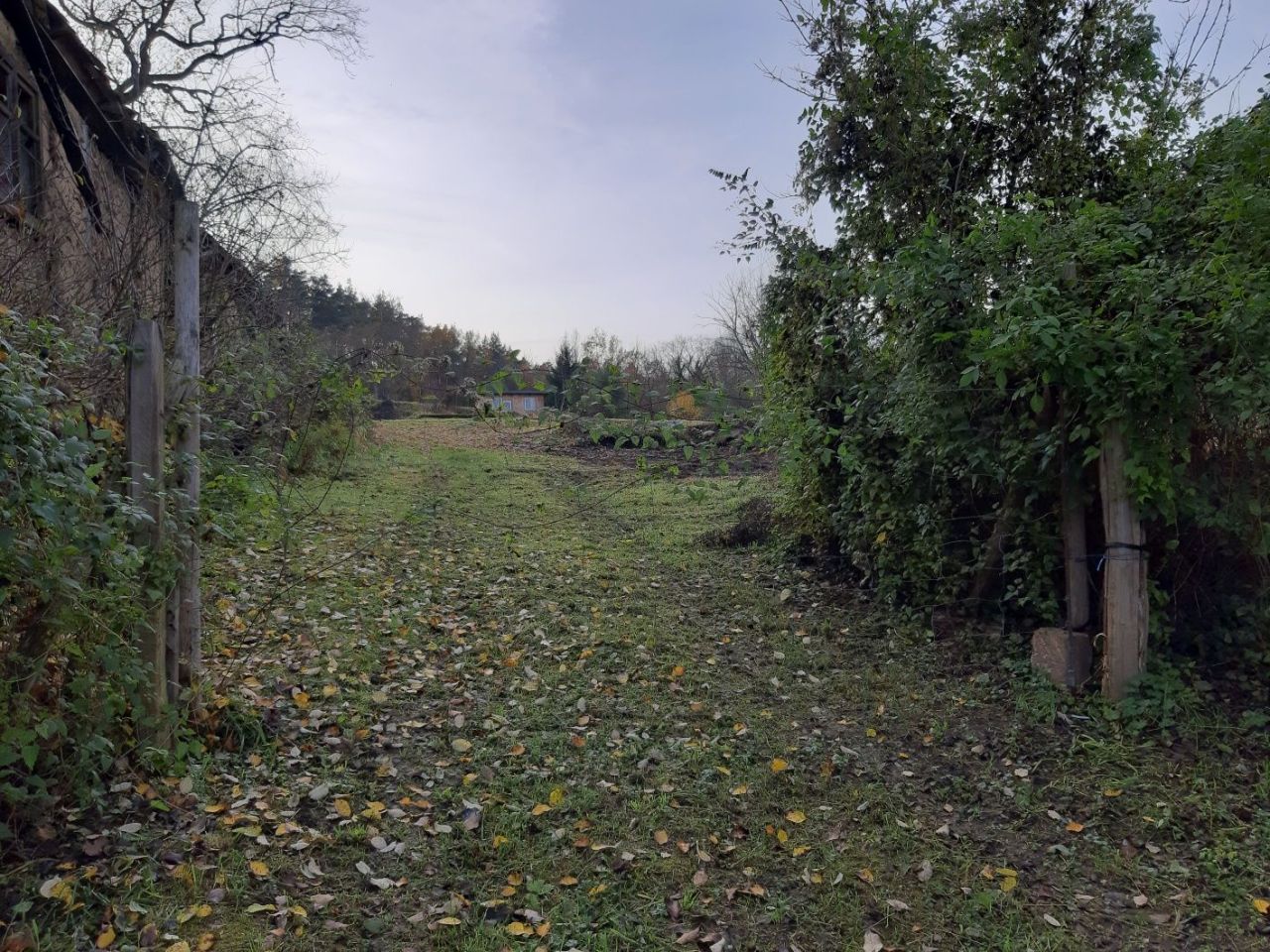 Działka rolno-budowlana Kursko. Zdjęcie 5