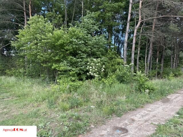 Działka budowlana Zboiska. Zdjęcie 5