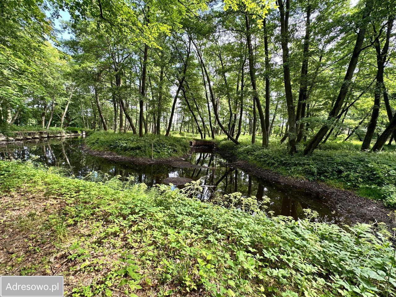 Działka inwestycyjna Bożepole Wielkie, ul. Chmieleniecka. Zdjęcie 8