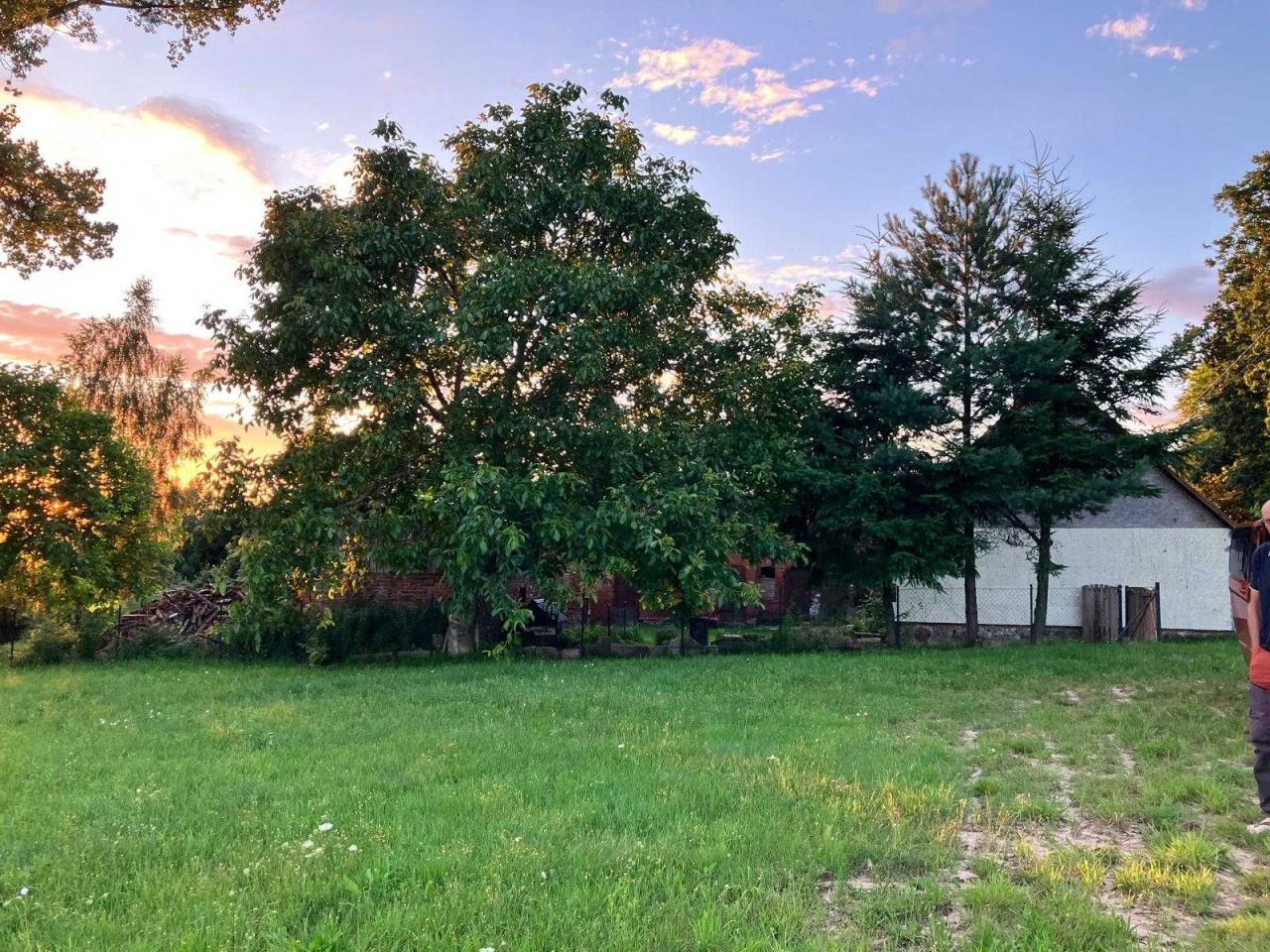 Działka rolno-budowlana Czysta. Zdjęcie 4