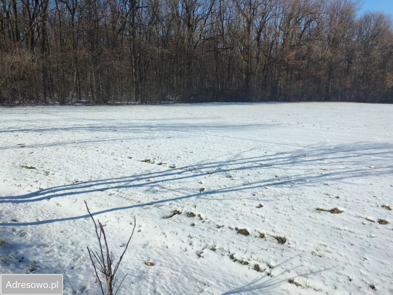 Działka budowlana Celiny. Zdjęcie 7