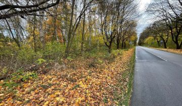 Działka budowlana Kusięta, ul. Poziomkowa