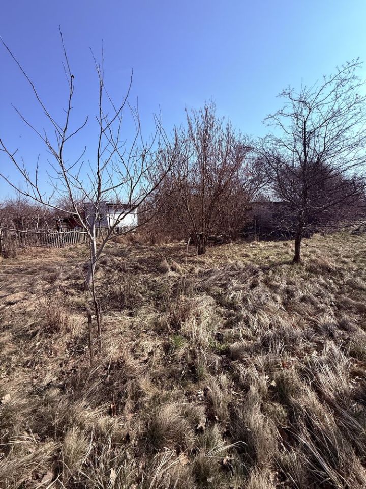 Działka rod Wrocław, ul. Gruzińska. Zdjęcie 6