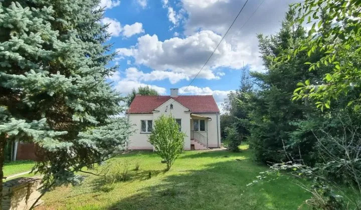 dom wolnostojący Dębica