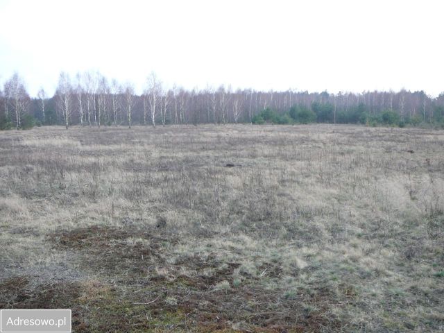 Działka budowlana Wieliszew, ul. Podgórna. Zdjęcie 1