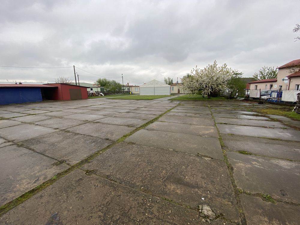 Hala/magazyn Przasnysz. Zdjęcie 5