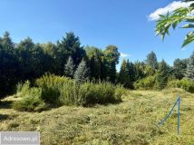 Działka budowlana Zwódne. Zdjęcie 4