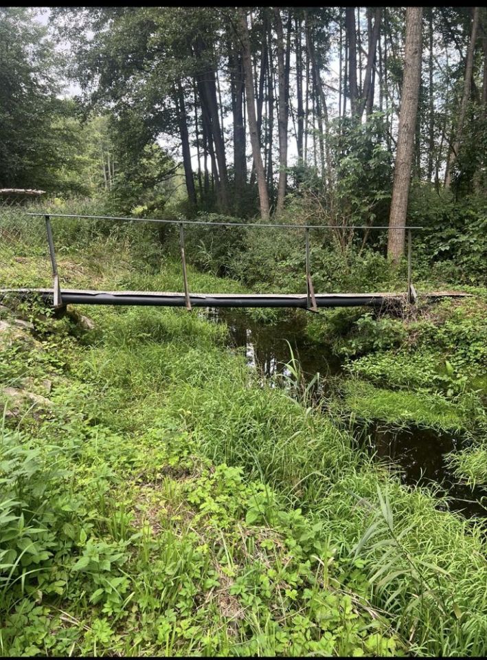 Działka siedliskowa Wierzbno. Zdjęcie 4