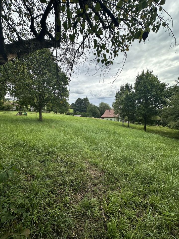 Działka budowlana Przedmieście Czudeckie. Zdjęcie 5