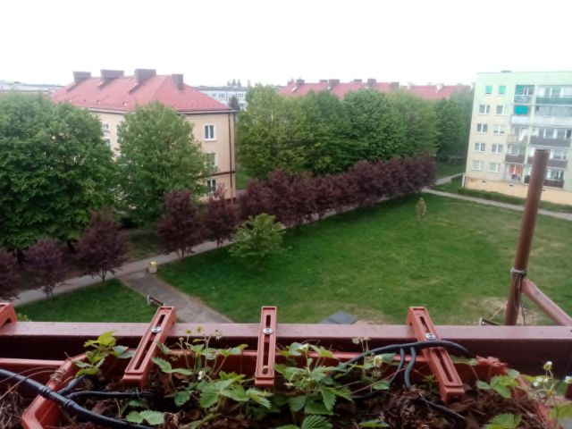 Mieszkanie 3-pokojowe Jelcz-Laskowice Centrum, ul. Ludwika Hirszfelda. Zdjęcie 1