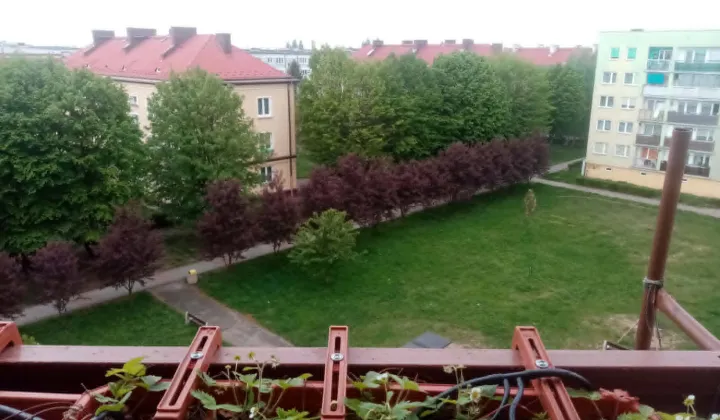 Mieszkanie 3-pokojowe Jelcz-Laskowice Centrum, ul. Ludwika Hirszfelda