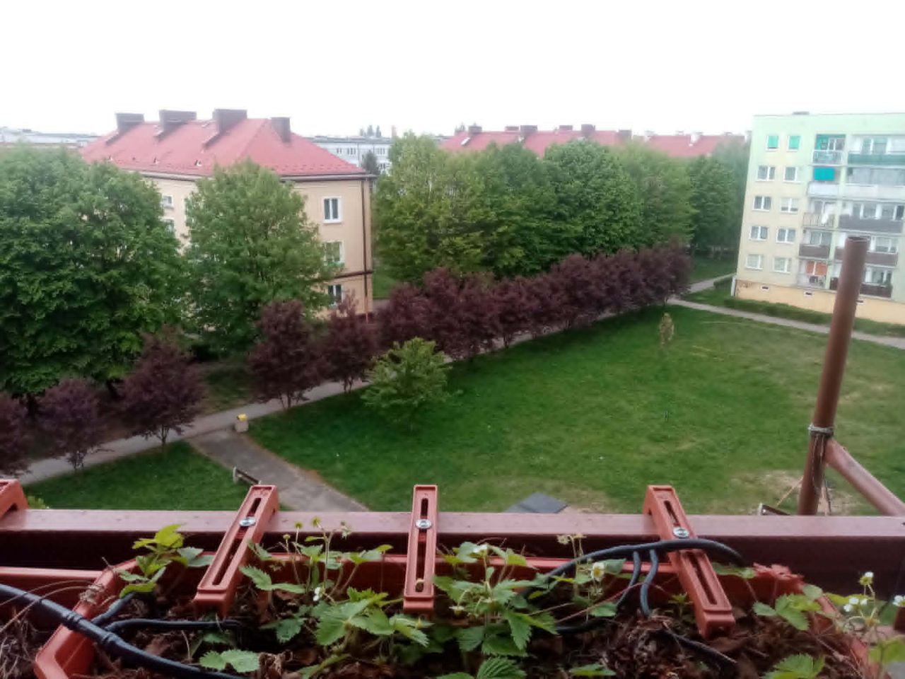 Mieszkanie 3-pokojowe Jelcz-Laskowice Centrum, ul. Ludwika Hirszfelda. Zdjęcie 1