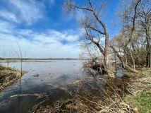 Działka budowlana Stasiopole, ul. Graniczna. Zdjęcie 3