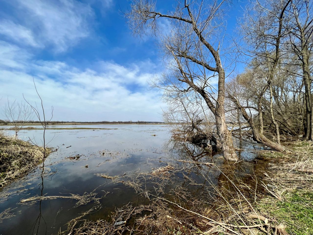 Działka budowlana Stasiopole, ul. Graniczna. Zdjęcie 4