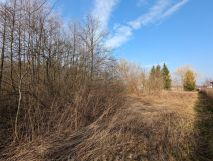 Działka budowlana Kalina Górecka. Zdjęcie 3