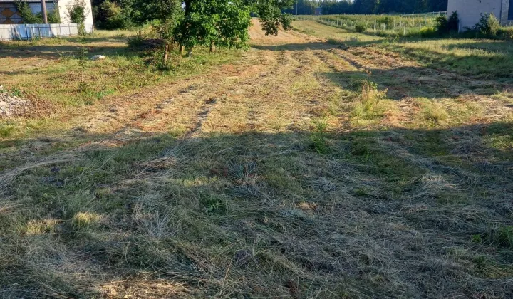 Działka rolno-budowlana Dąbrowa