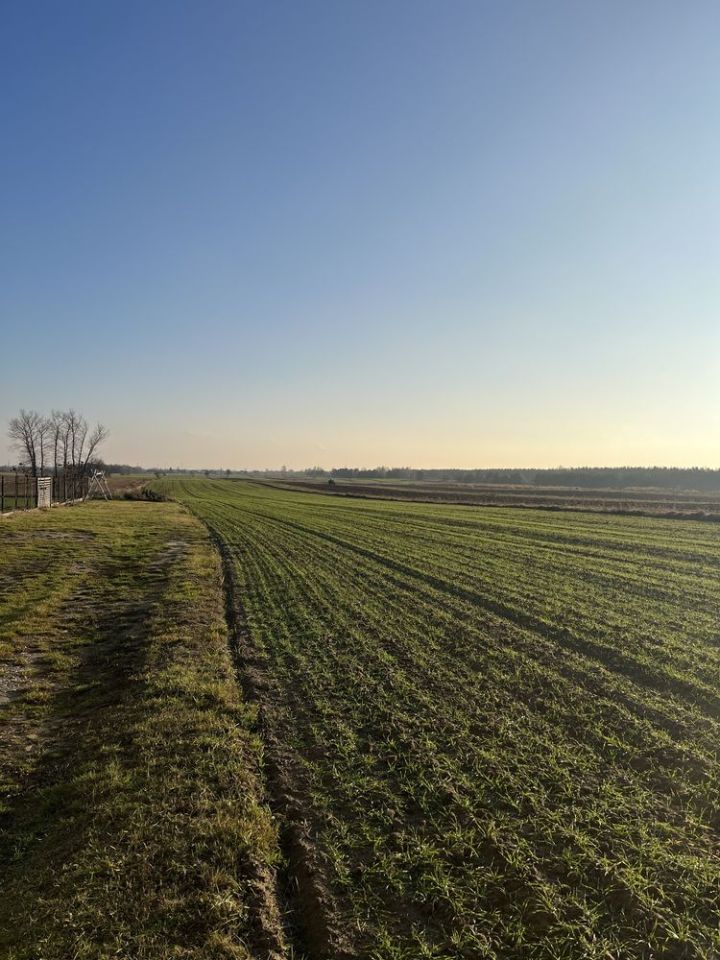 Działka budowlana Turzyn. Zdjęcie 4