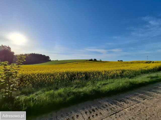 Działka budowlana Dębogórze. Zdjęcie 1