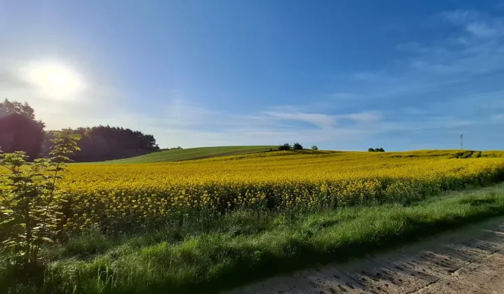 Działka budowlana Dębogórze
