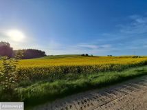 Działka budowlana Dębogórze