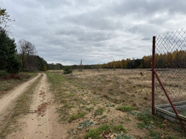 Działka rolno-budowlana Choinek. Zdjęcie 4