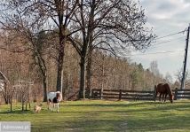 dom wolnostojący, 5 pokoi Stoczek. Zdjęcie 2