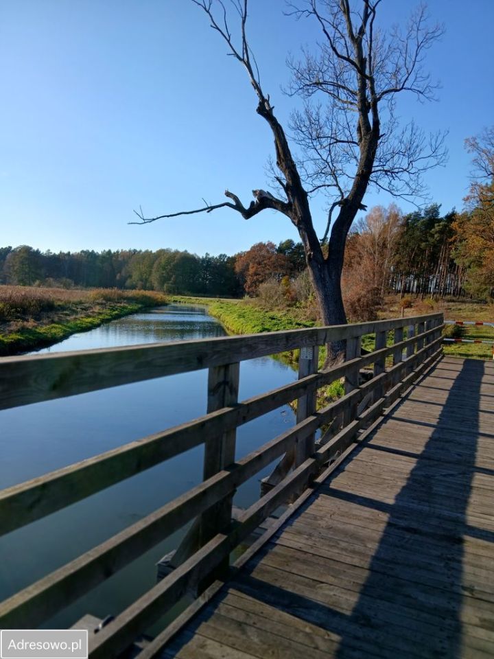 Działka rekreacyjna Jesiona. Zdjęcie 8